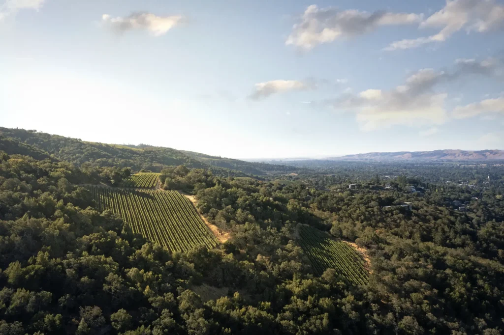 b. Wise Estate block arial photo of vineyards