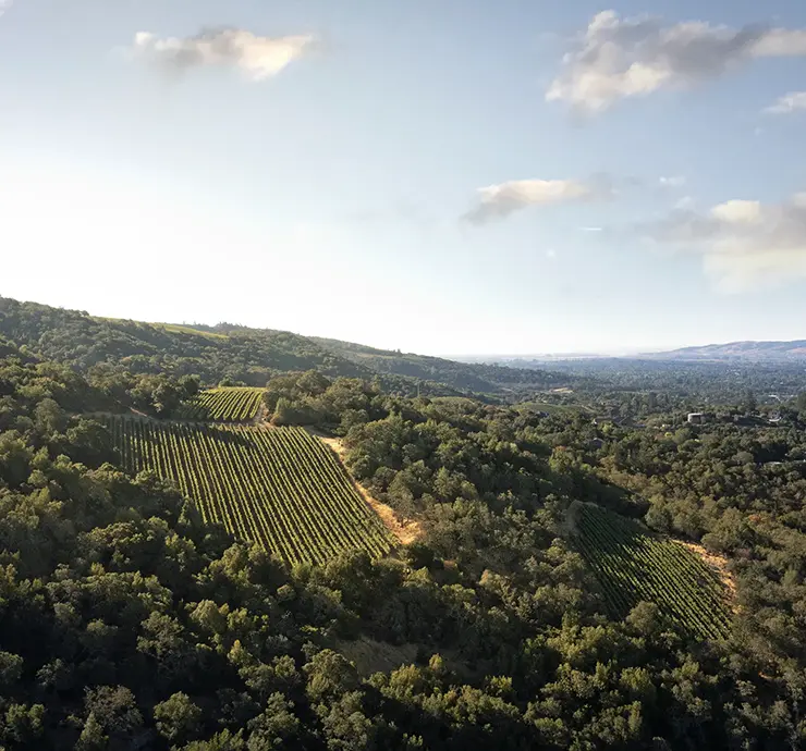 b. Wise Estate block arial photo of vineyards