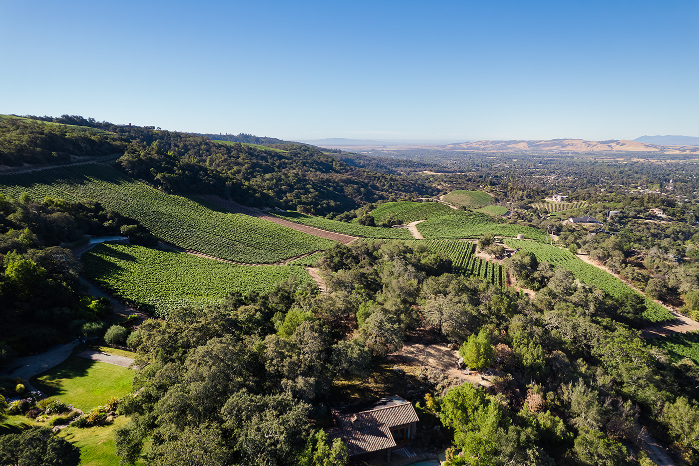 Panoramic view of B.Wise Estate vineyard