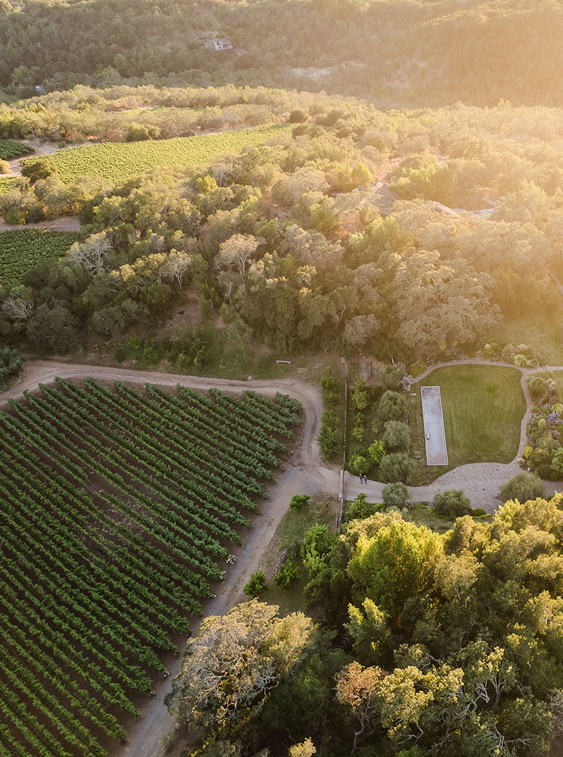 Aerial view of B.Wise Estate Vineyard and surrounding area