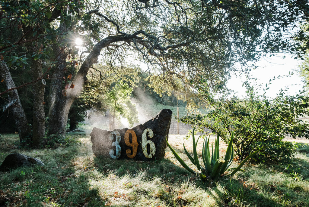 Colorful large numbers on a rock under a tree