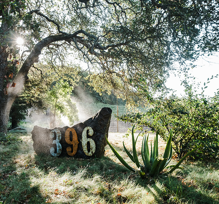 Colorful large numbers on a rock under a tree