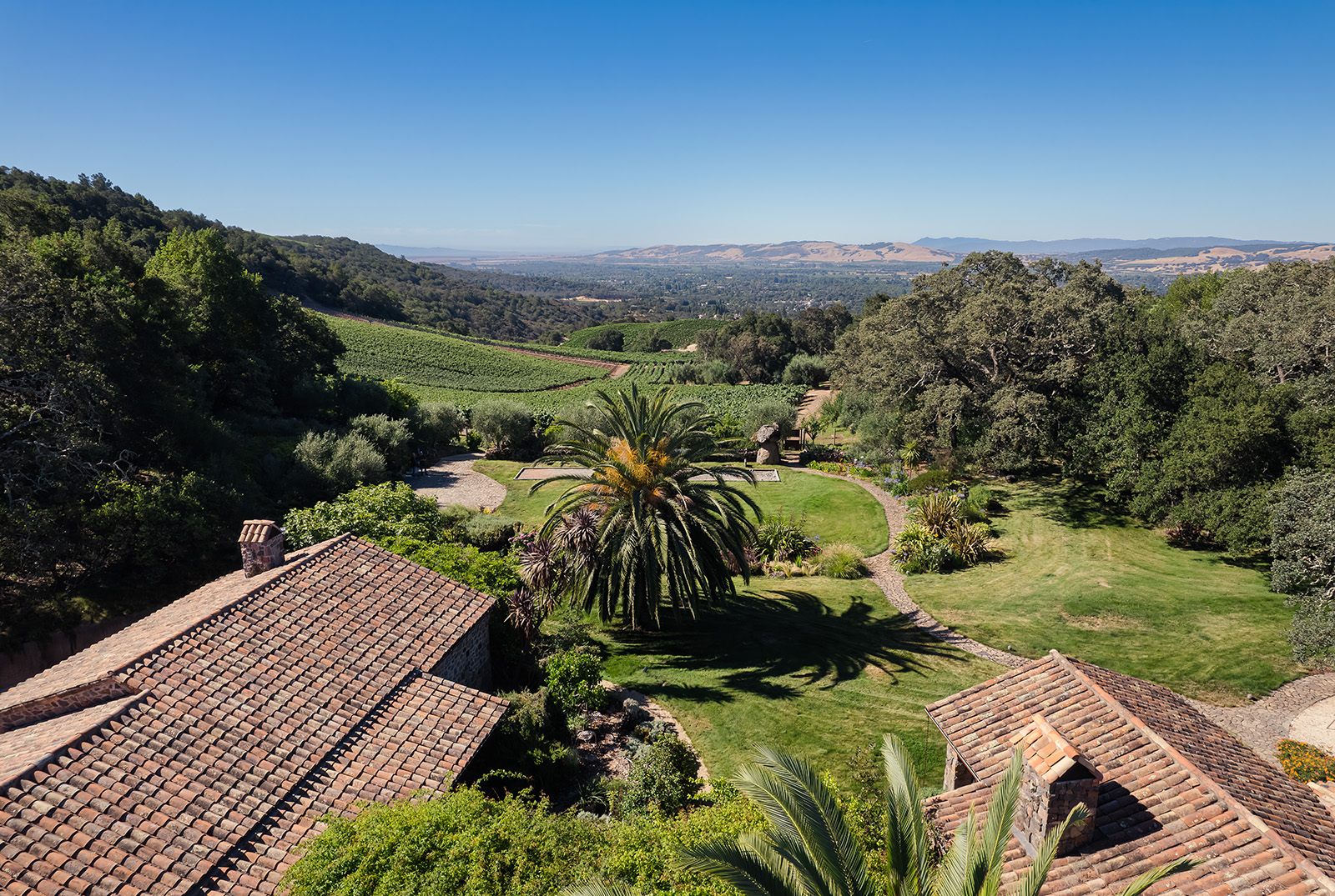 View from B.Wise Terrace