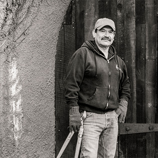 Enrique Castillo, Vineyard manager