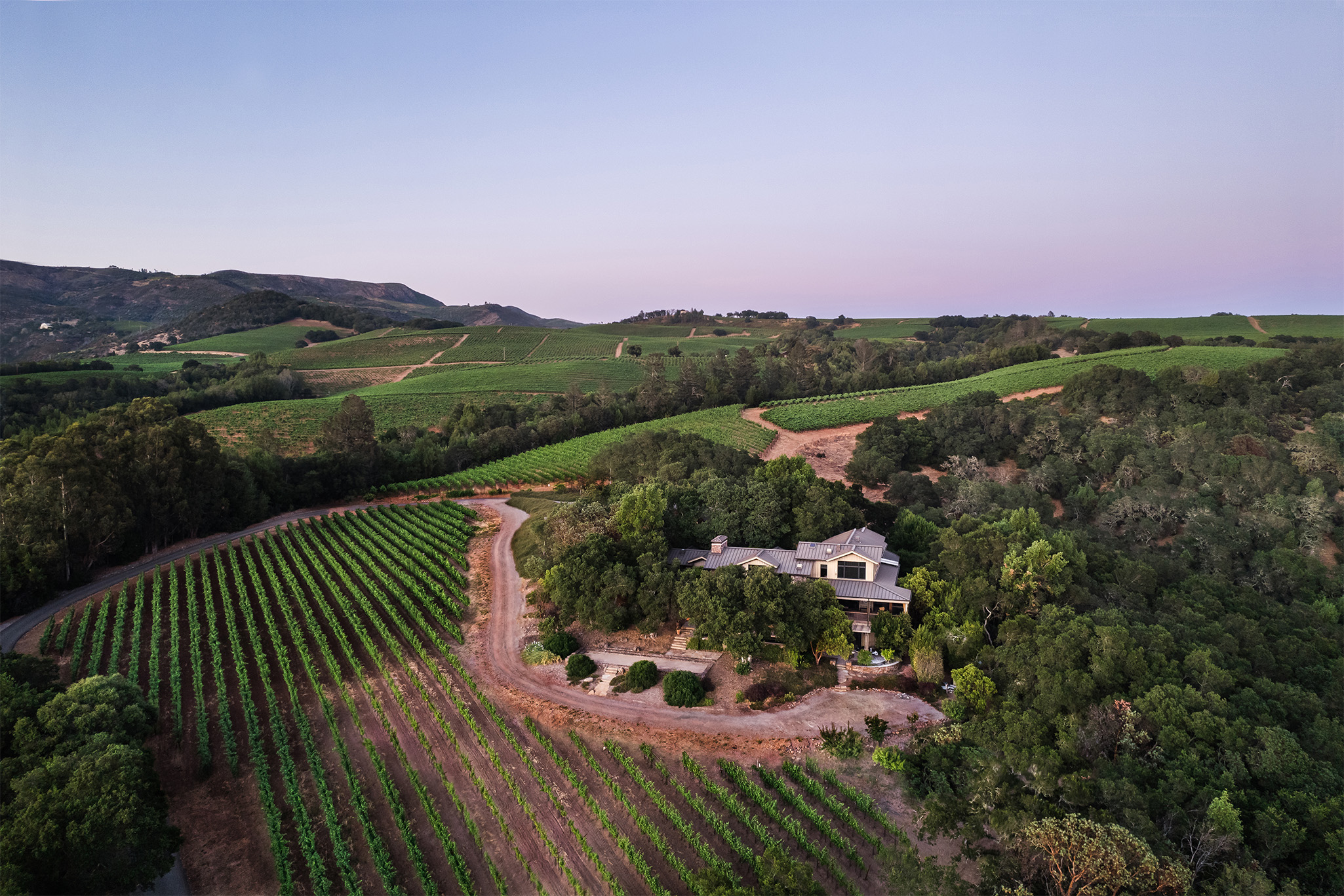 Arrowood Lodge and vineyard