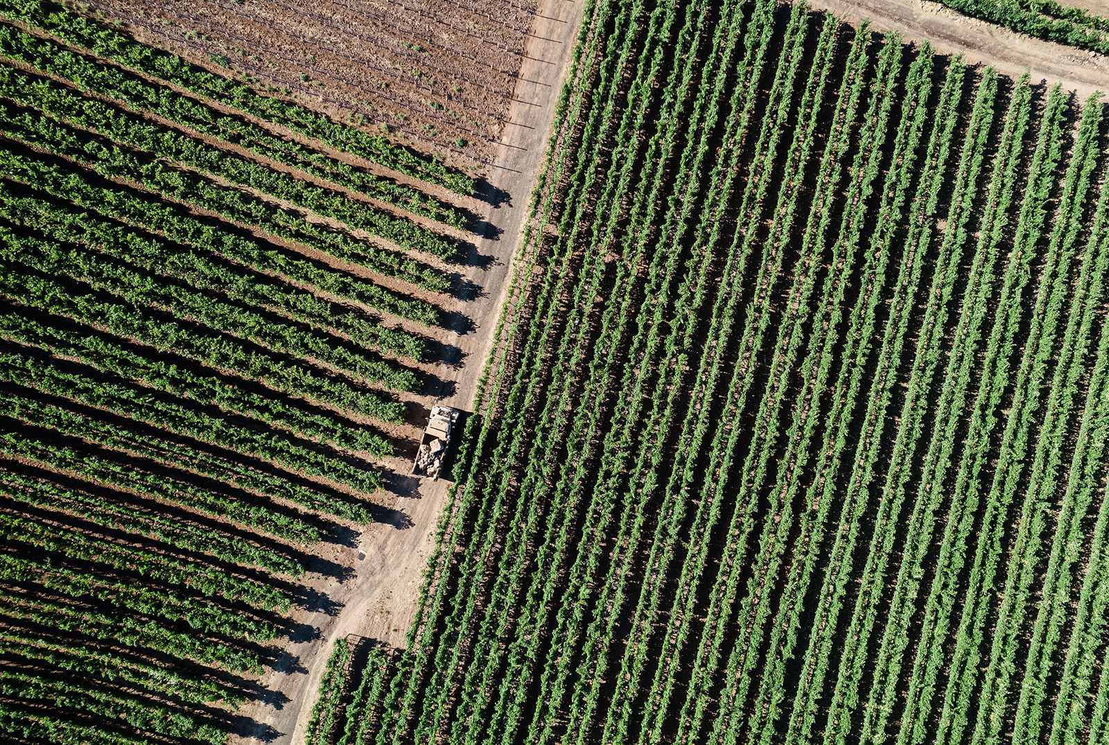 Aerial photo of truck driving on road through vineyard