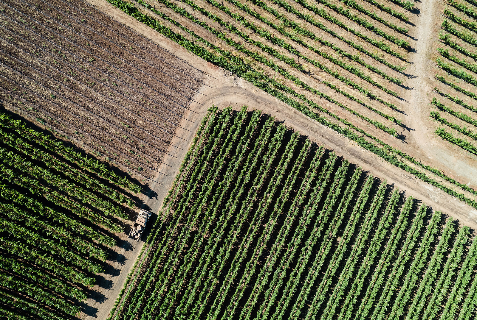 Aerial photo of truck coming to a corner on a road through vineyard