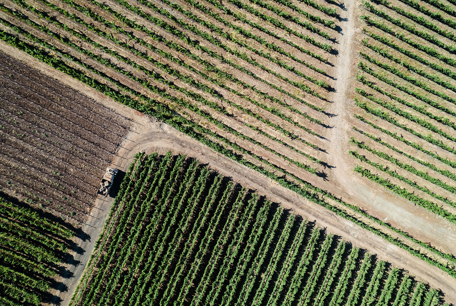 Aerial photo of truck preparing to turn a corner on a road through vineyard