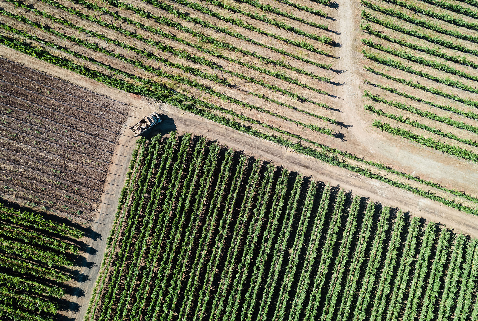 Aerial photo of truck turning a corner on a road through vineyard