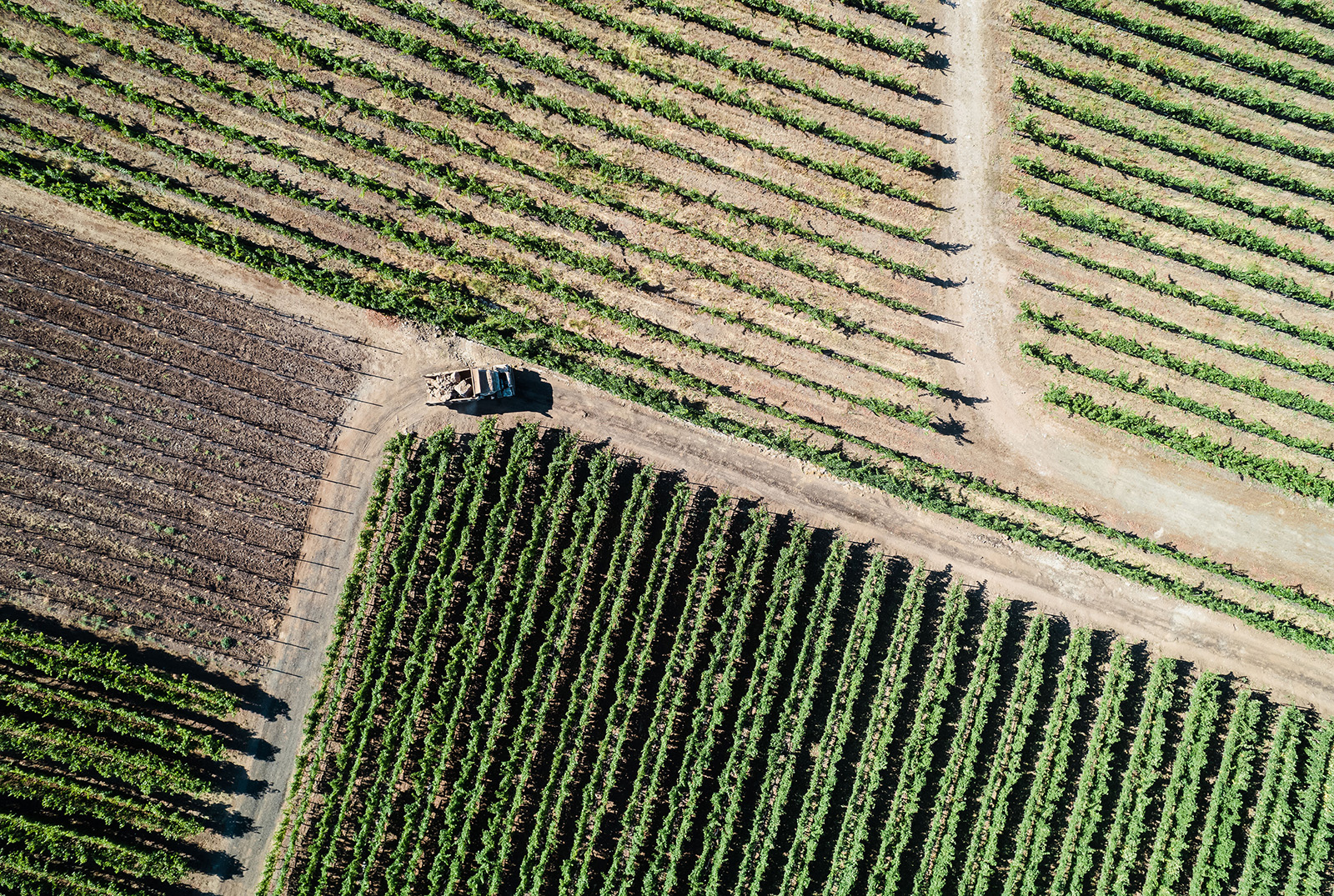 Aerial photo of truck progressing through a corner on a road through vineyard