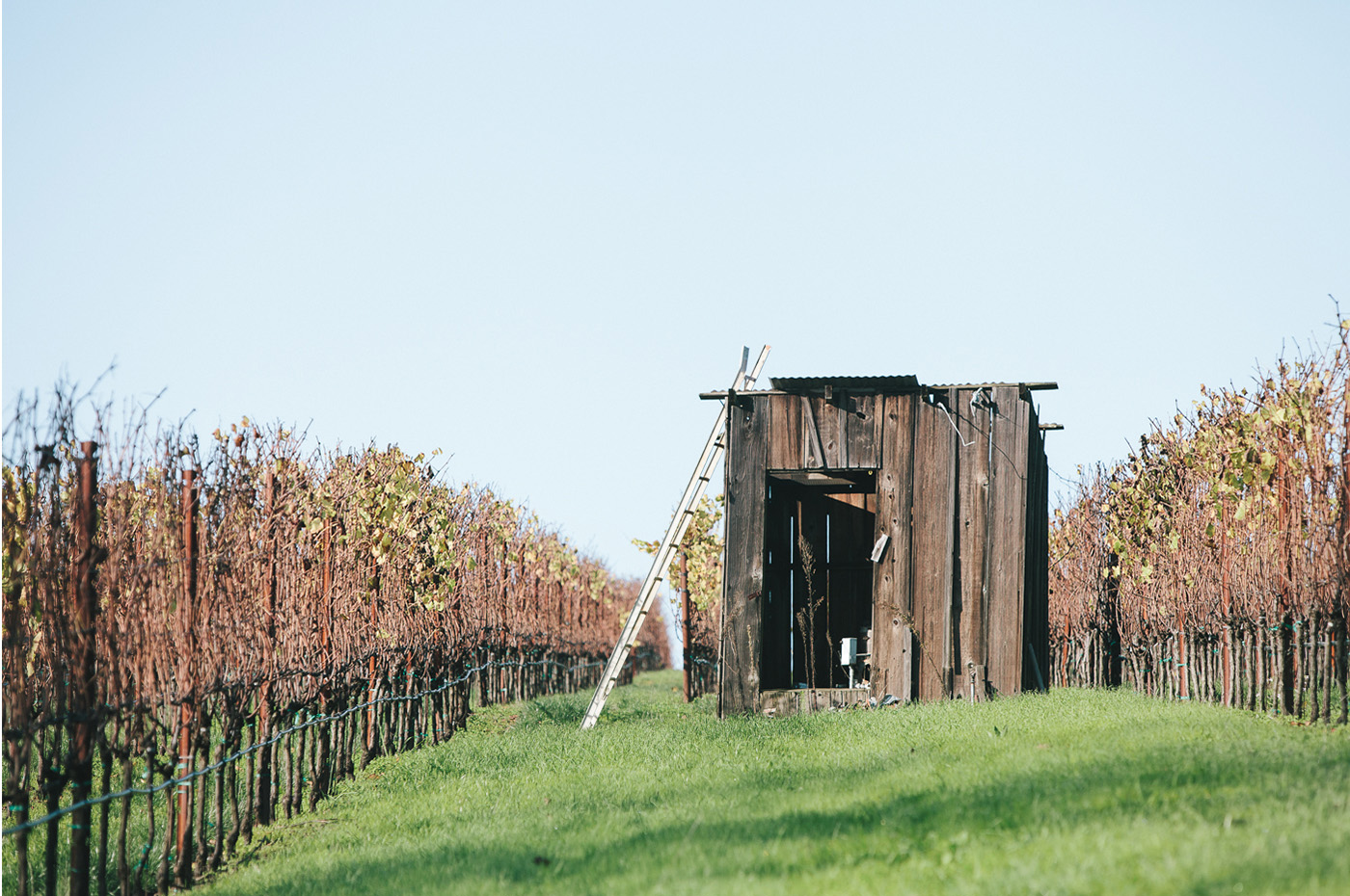 Small wooden shack in Lucky Well vineyard