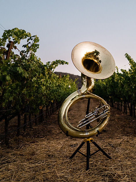 Musical instrument in vineyard