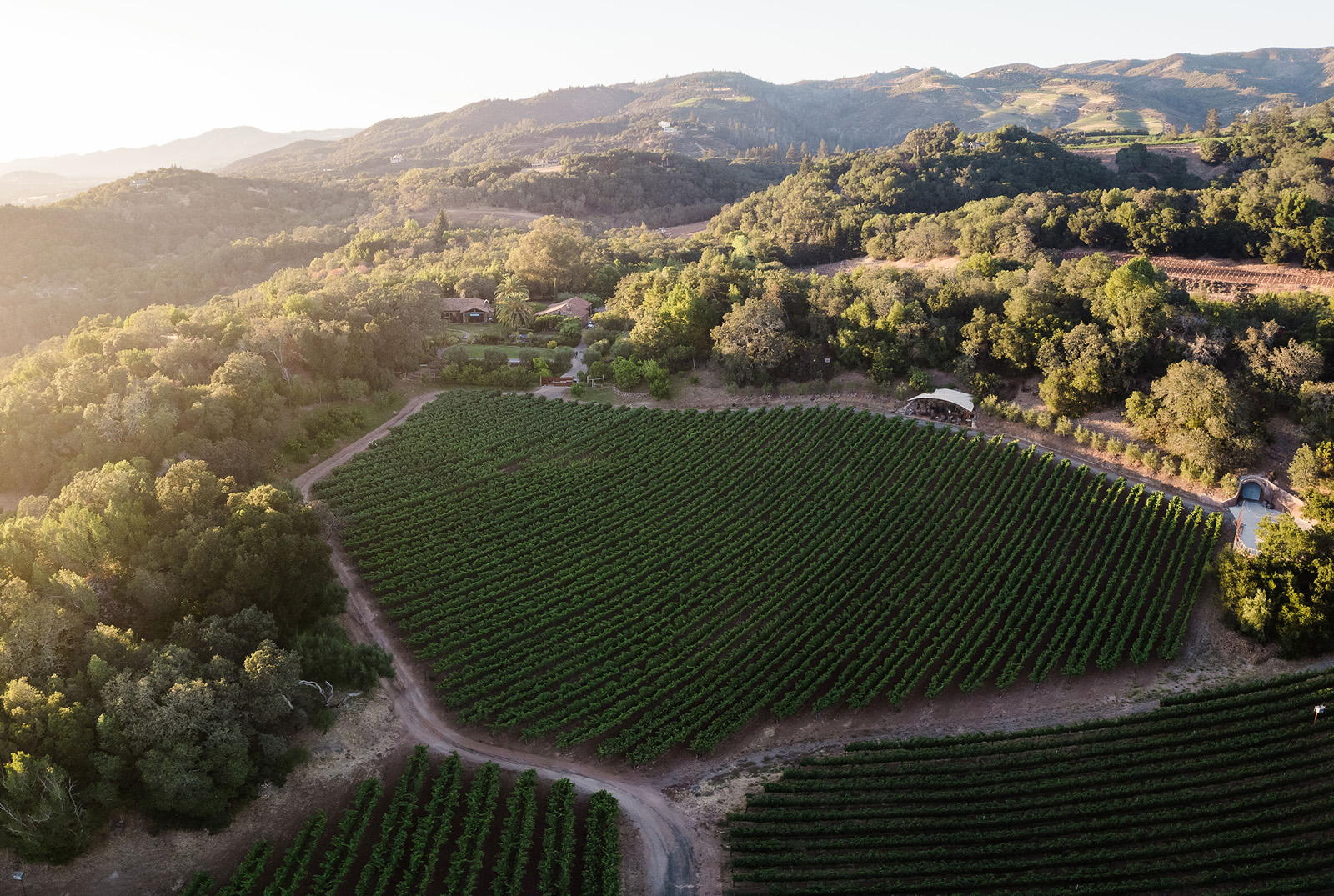 Aerial shot of B.Wise estate surrounded by vineyards