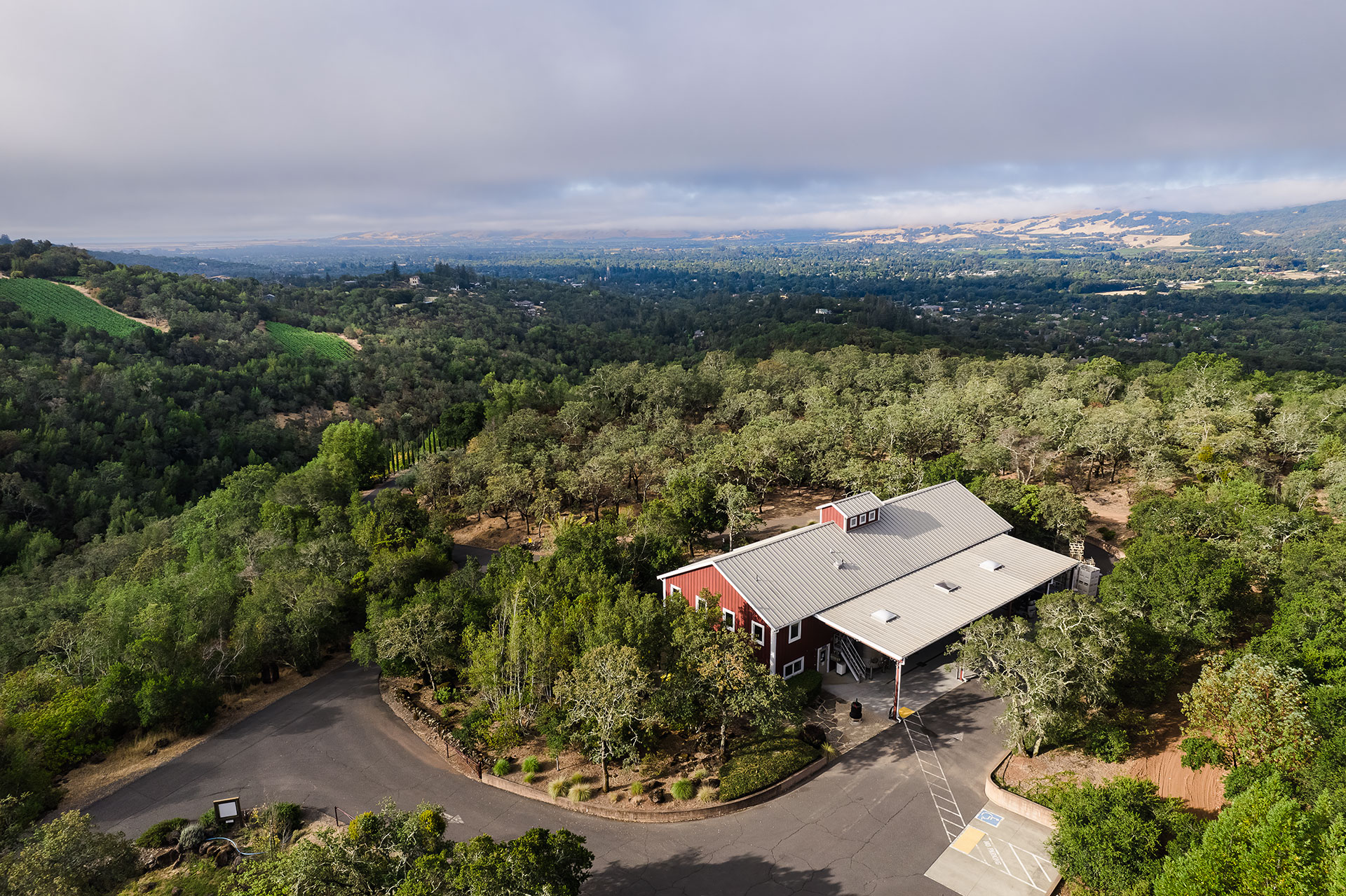 Amapola Creek Tasting Room B. Wise Vineyards