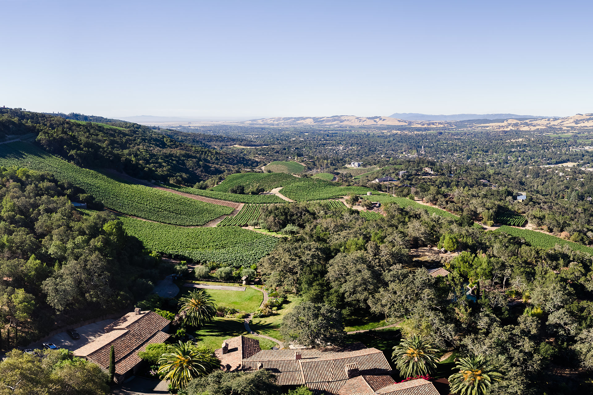 B. Wise Estate Vineyards Scenic Panorama