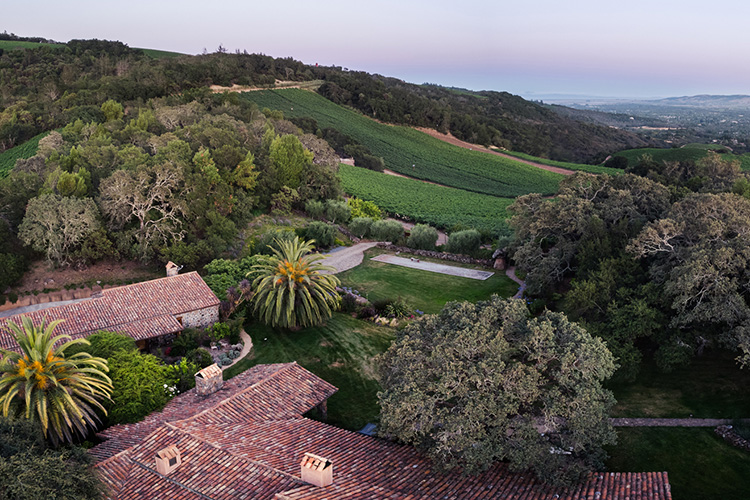 B. Wise Vineyards Estate Aerial Image