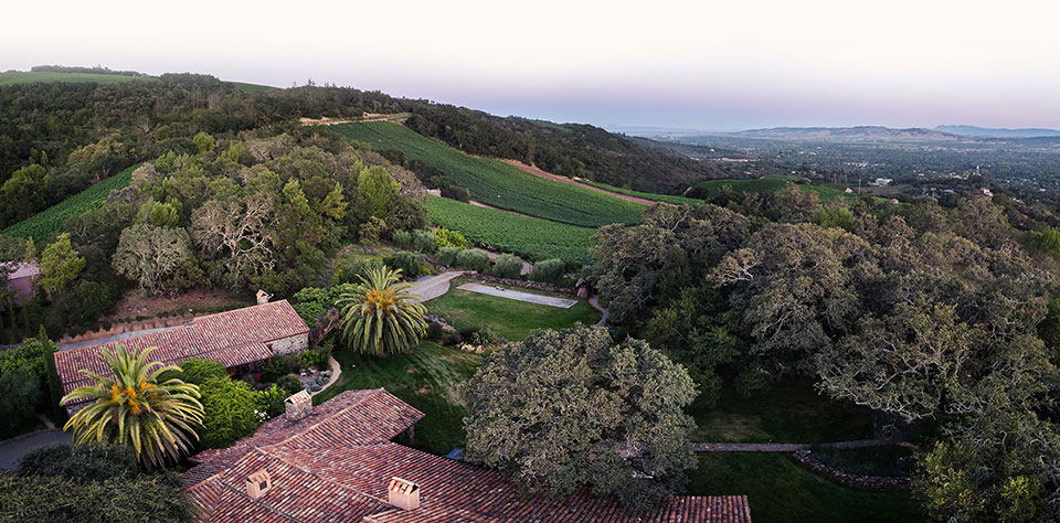 B. Wise Vineyards Estate Aerial Image
