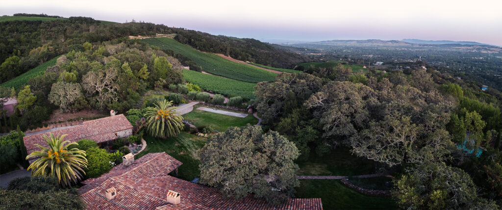 B. Wise Vineyards Estate Aerial Image