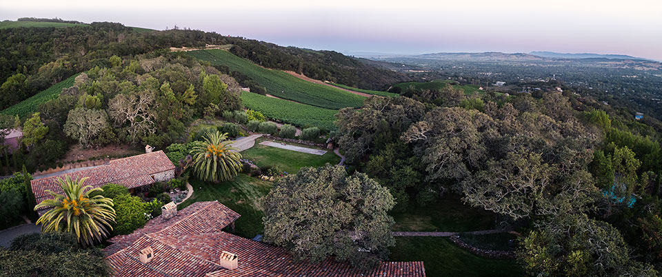 B. Wise Vineyards Estate Aerial Image