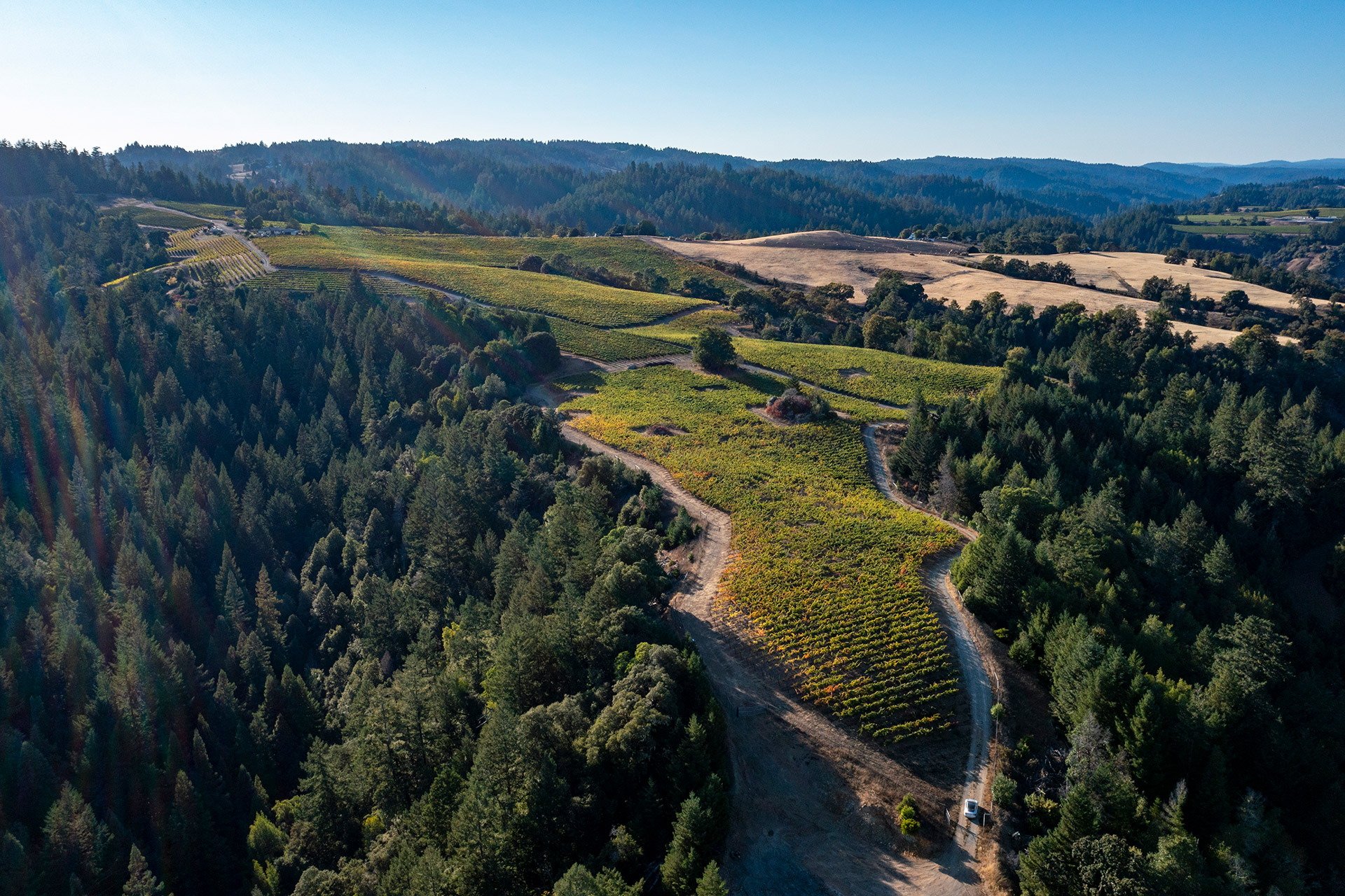 Arial view of Nobles Vineyard