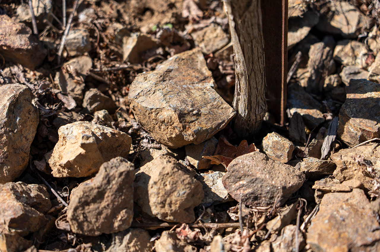 Nobles Goldridge Rocky Soils