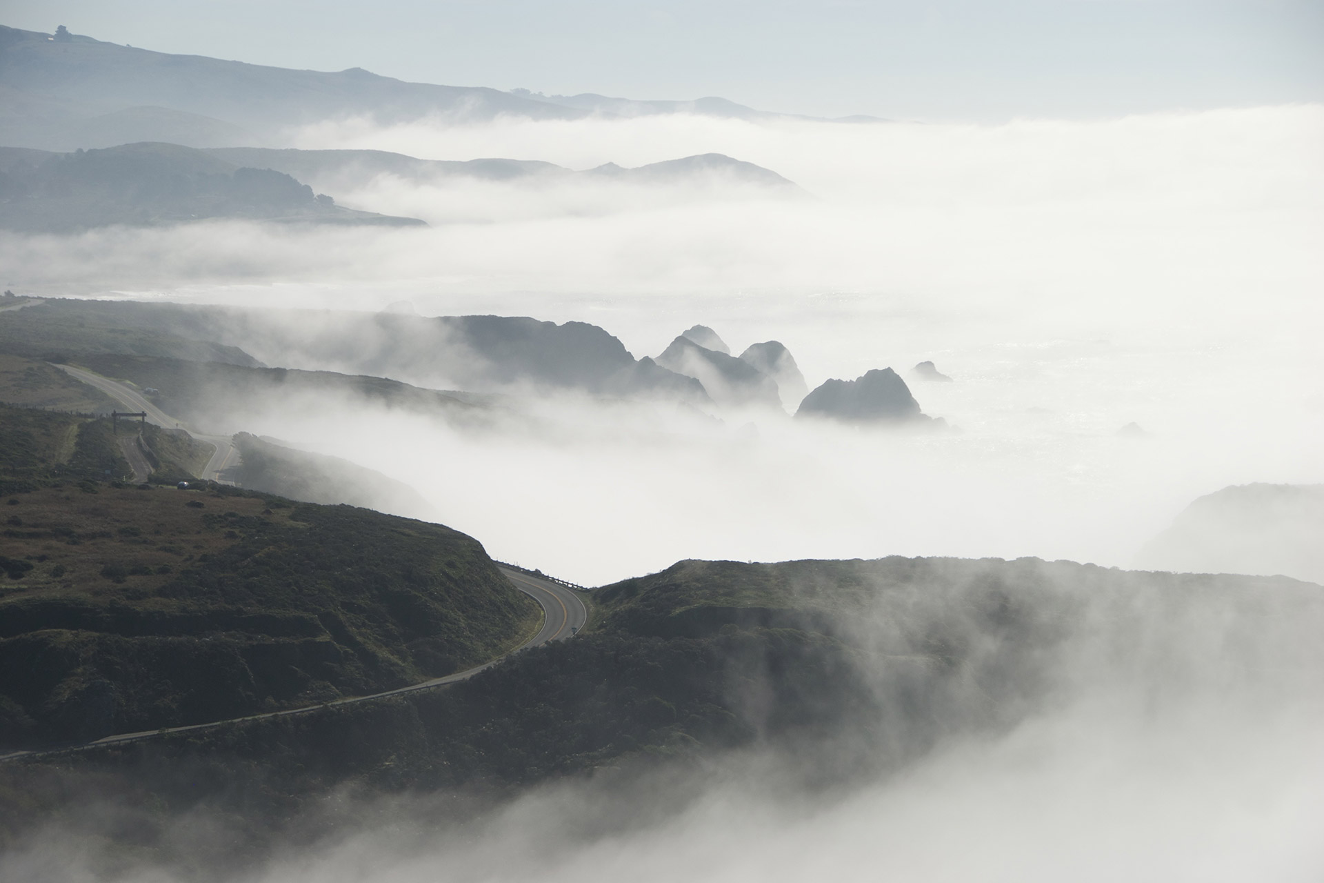 Nobles Vineyard in fog