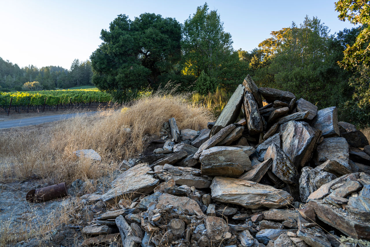 B.Wise Silver Eagle Vineyard Rocks