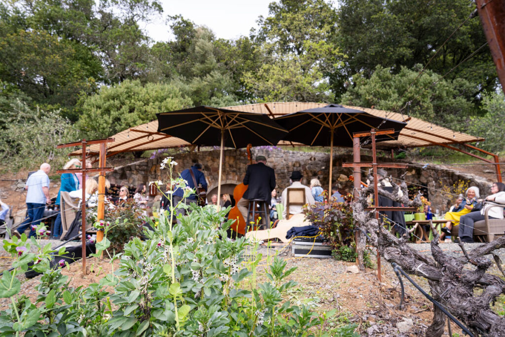 Wine Club member party on the B. Wise Vineyards estate terrace