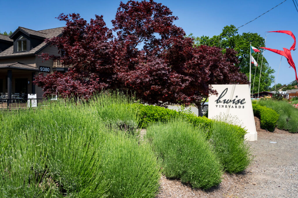 B. Wise Tasting Lounge, Kenwood, CA, photo by Suzanne Becker Bronk